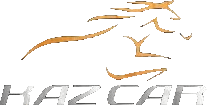 Kaz Executive Travel Ltd